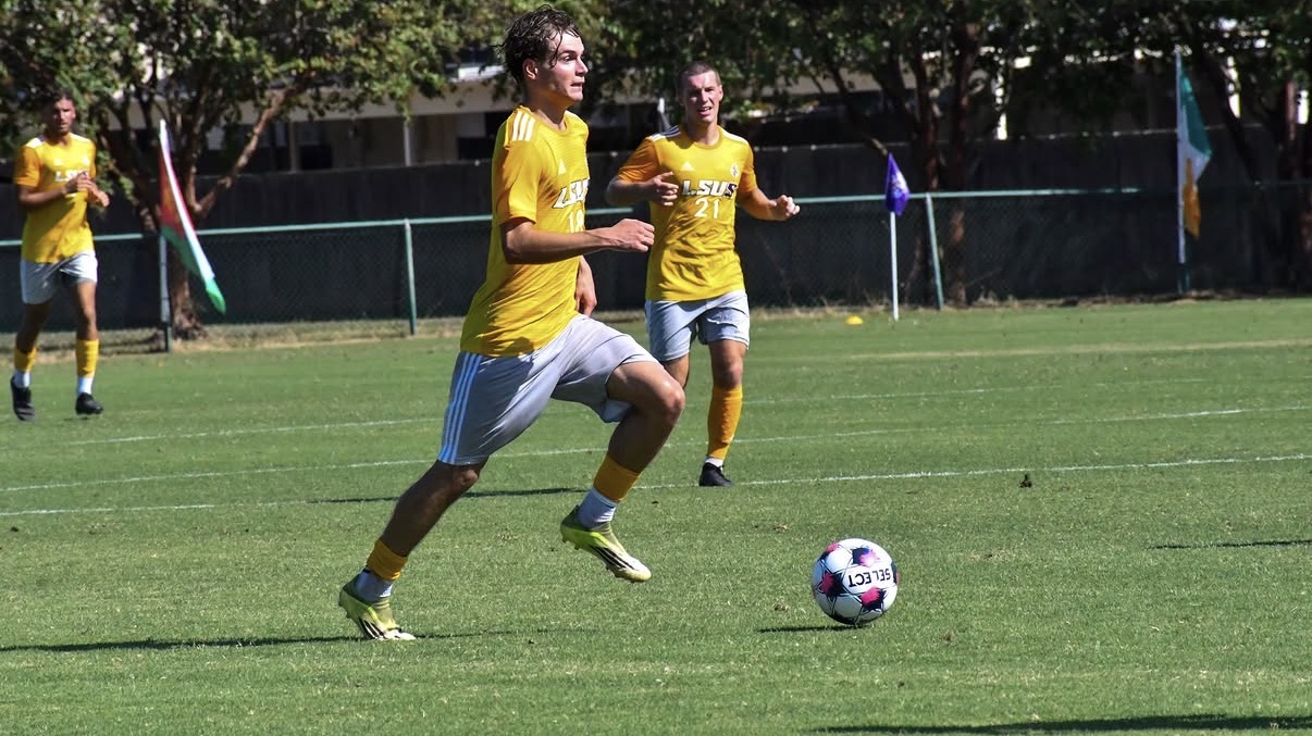 https://www.instagram.com/lsusathletics/?hl=en